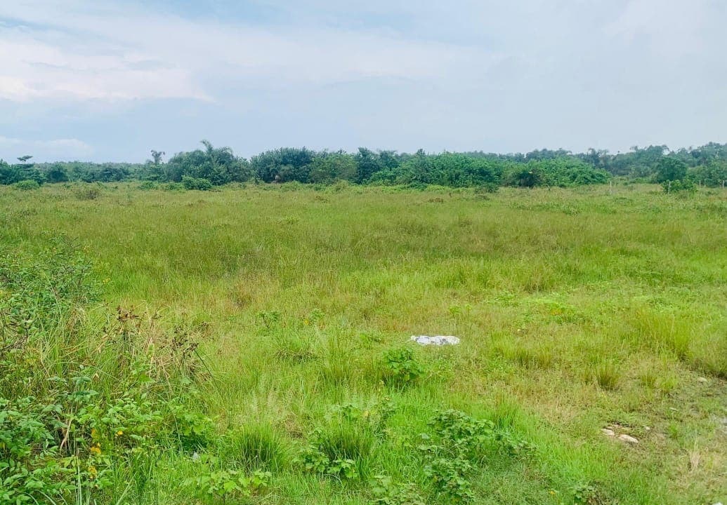 Land for Sale in Hopeville, Sangotedo, Lagos