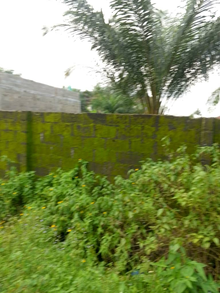 300 sqm Land for Sale at Ibeju-Lekki, Lagos