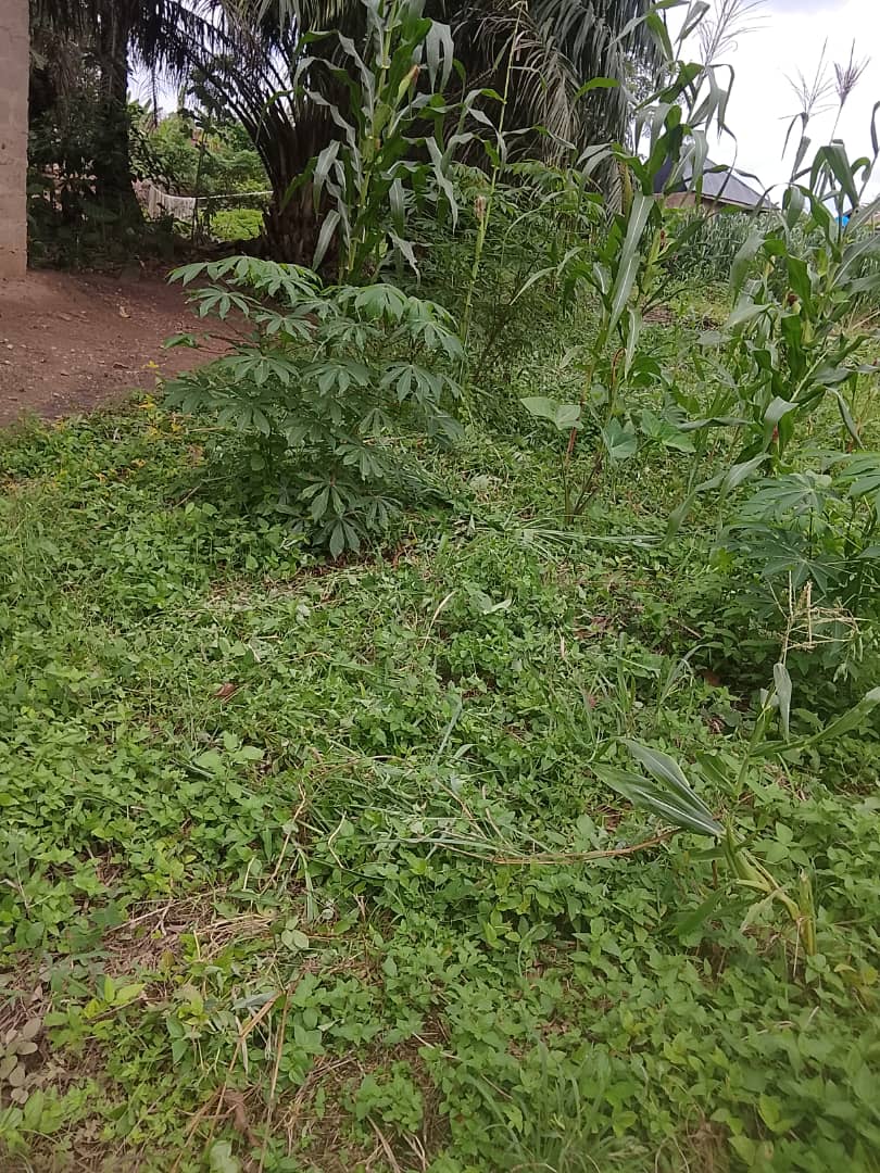 Land for Sale at Seminary, Ile-Ife, Osun