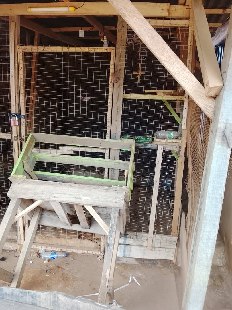 Container for Sale in Oranfe, Ile-Ife