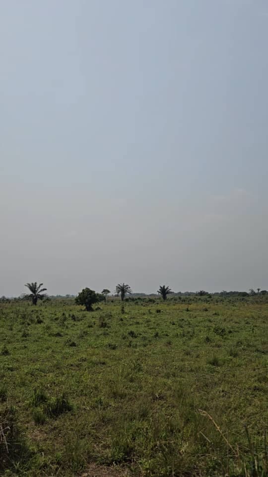 100 Hectares of Land for Sale at Agbawon, Ogun