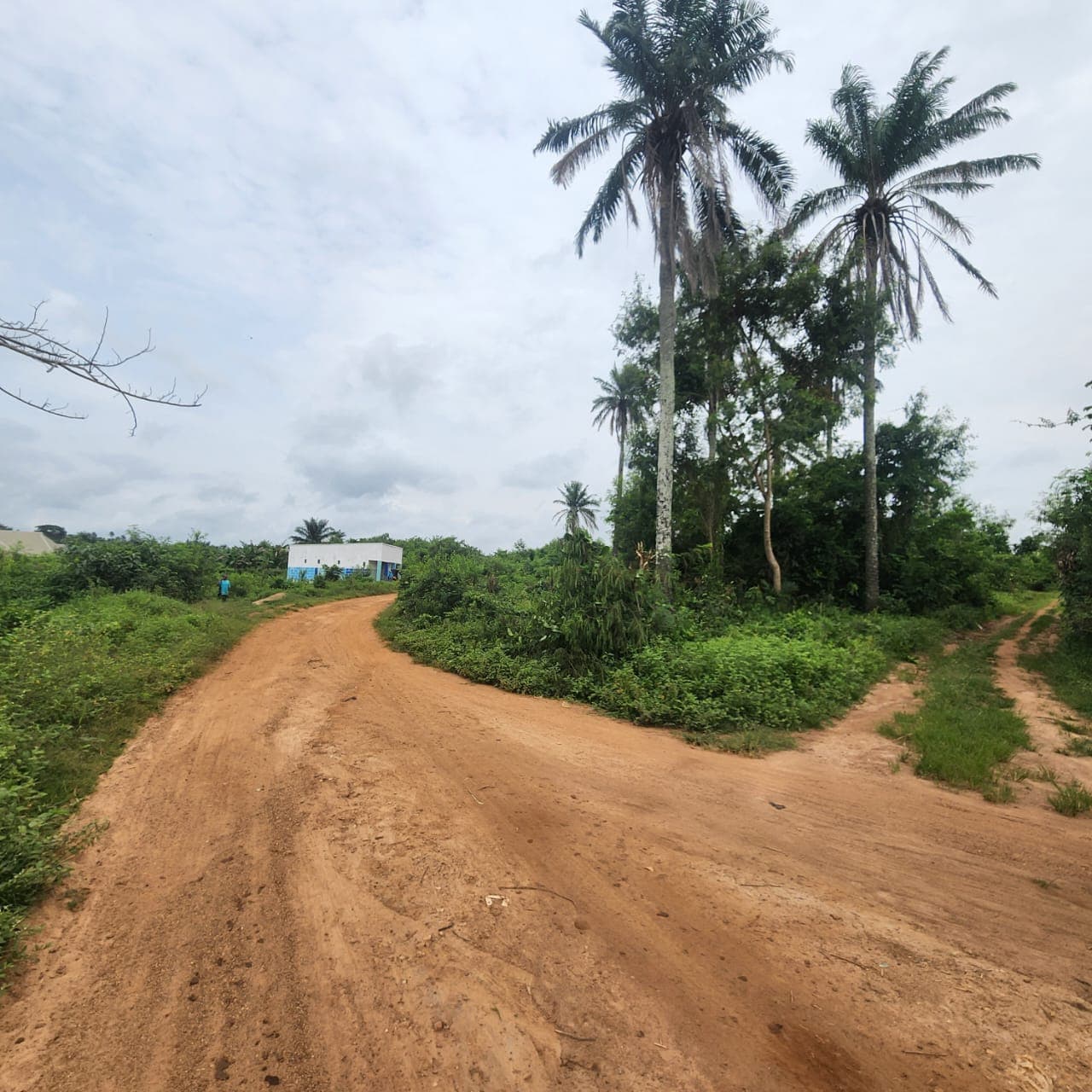 Land for Sale in Alabata, Moniya, Ibadan - 1