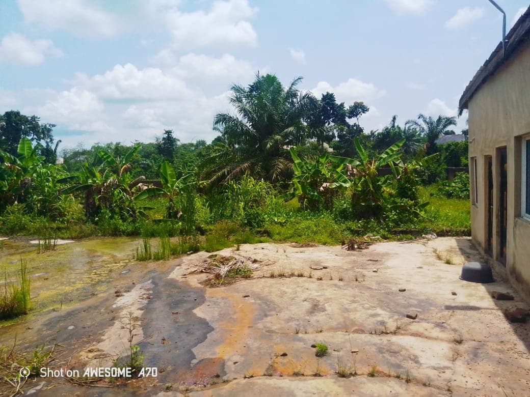 Fish Farm Land for Lease in Apata, Ibadan